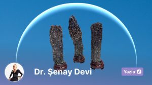 17 – 23 Kasım 2025 Haftasının Kristali: Cüruf