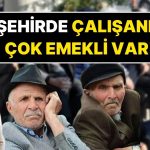 21 Kentte, Emekli Sayısı Faal Çalışan Sayısını Geçti