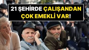21 Kentte, Emekli Sayısı Faal Çalışan Sayısını Geçti