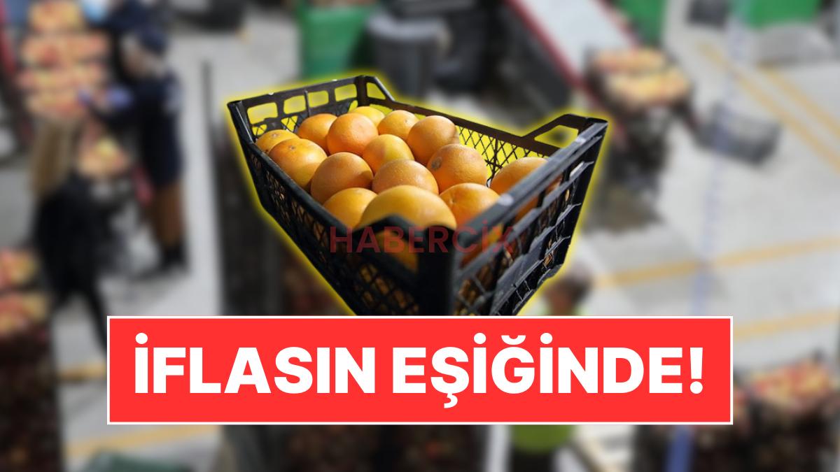 25 Ülkeye Meyve İhraç Eden Türk Besin Devi Konkordato İlan Etti