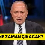 4 Yıl 2 Ayla Cezalandırılan Fatih Altaylı Cezaevinde Ne Kadar Kalacak?