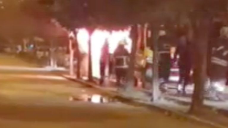 Adana’da tantuni satılan kamyondan alevler yükseldi