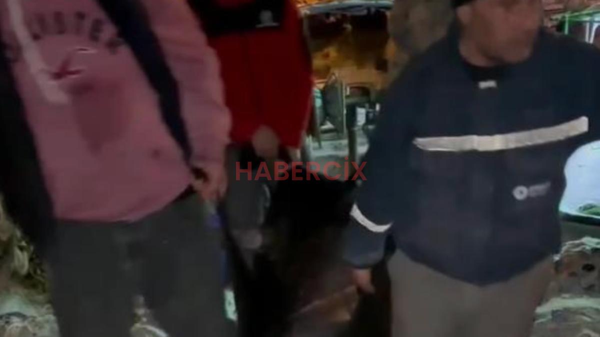 Akdeniz’de oltasına dev kılıç balığı takıldı: 65 bin TL karşılığında sattılar