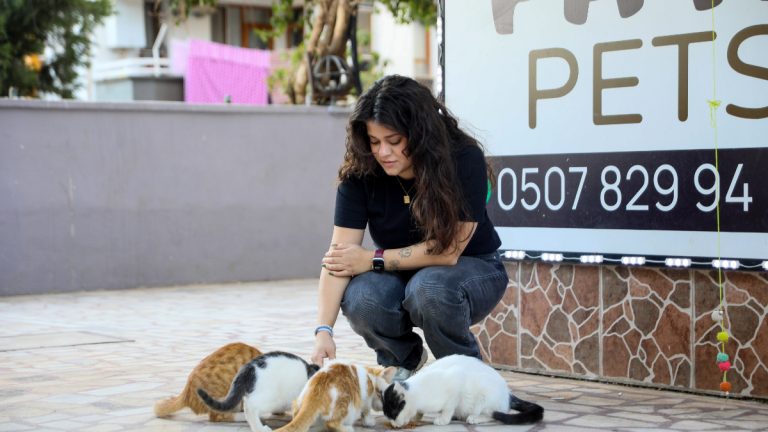 Antalya’da baktığı kedi bastonla öldürüldü