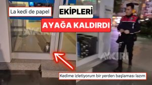 Aydın’da Bir Bankanın Alarmlarının Çalması Üzerine Olay Yerine Giden Polis Kapıda Kedi ile Karşılaştı