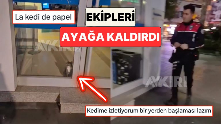 Aydın’da Bir Bankanın Alarmlarının Çalması Üzerine Olay Yerine Giden Polis Kapıda Kedi ile Karşılaştı