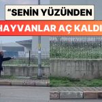 Bir Adamın Poğaça Verdiği Köpekle Yaşadığı Tartışma İzleyenleri Güldürdü: “Senin Yüzünden Hayvanlar Aç Kaldı.”