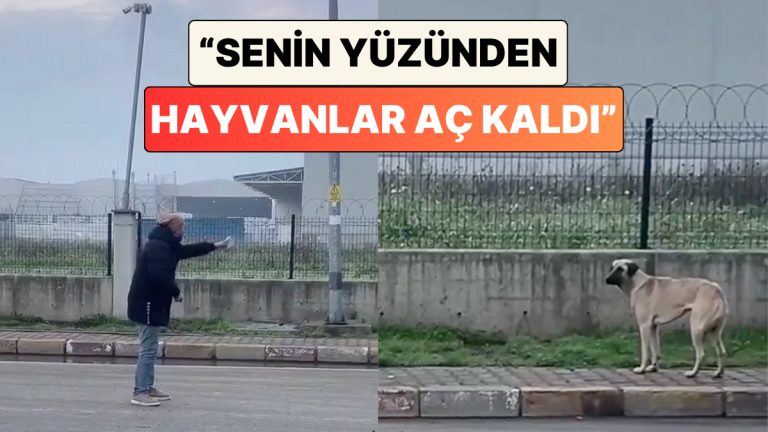 Bir Adamın Poğaça Verdiği Köpekle Yaşadığı Tartışma İzleyenleri Güldürdü: “Senin Yüzünden Hayvanlar Aç Kaldı.”