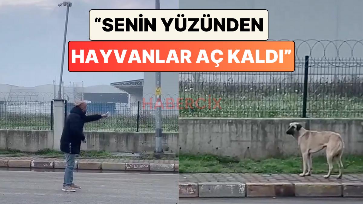 Bir Adamın Poğaça Verdiği Köpekle Yaşadığı Tartışma İzleyenleri Güldürdü: “Senin Yüzünden Hayvanlar Aç Kaldı.”