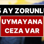 Bugün Başladı 5 Ay Mecburî Olacak! Kurala Uymayana 6 Bin TL Cezası Var