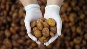 Bursa kestane şekeri ve İpsala pirinci AB’den coğrafik işaret tescili aldı