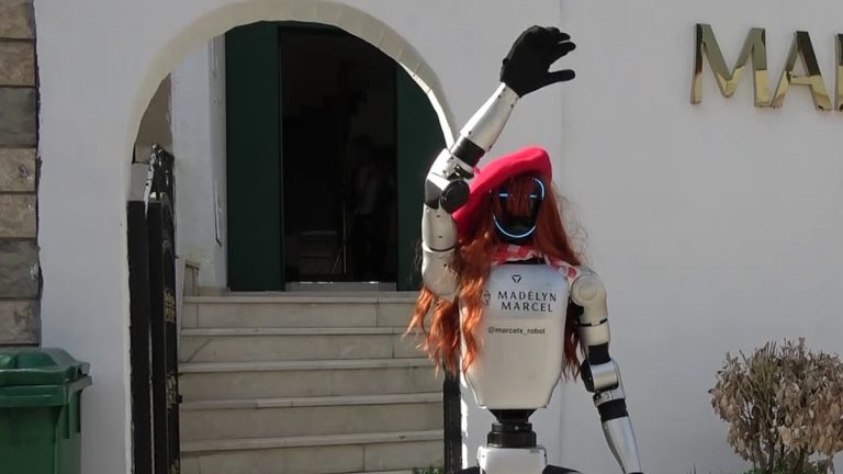 Bursa’da bir hoşluk merkezi emekçi olarak Çin’den robot getirtti