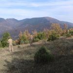 Çankırı’da kaybolan yaşlı bayanın cansız vücudu bulundu