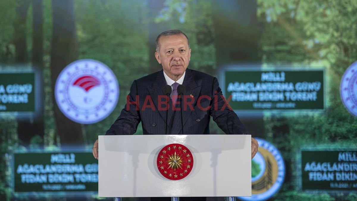Cumhurbaşkanı Erdoğan, Ulusal Ağaçlandırma Günü programına katılacak