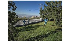 Dilovası Millet Bahçesi taban köşe temizleniyor