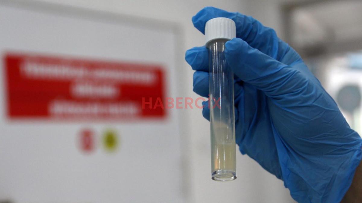 Dünyanın en ölümcül bulaşıcı hastalığı geçen yıl 1,23 milyon can aldı