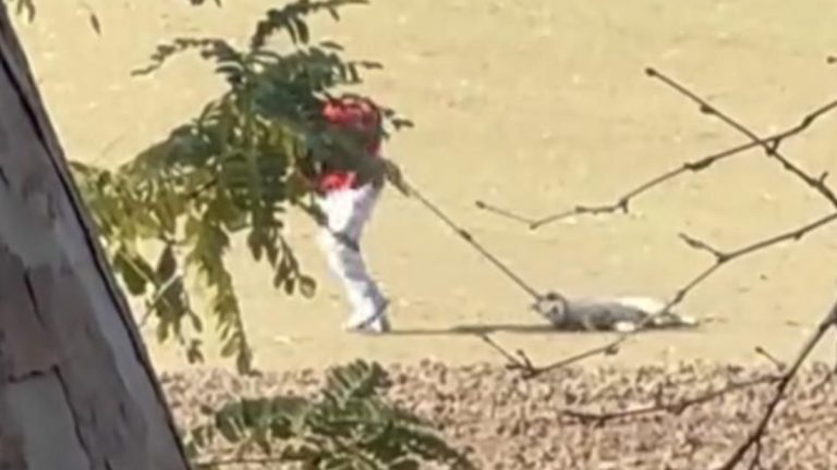 Edirne’de belediyenin köpek toplama imgeleri reaksiyon çekti