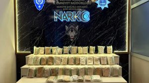 Edirne’de hudut kapısında tırdan 66 kilo uyuşturucu hammaddesi ele geçirildi