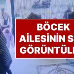 Fatih’te Zehirlenen Böcek Ailesinin Son Görüntüleri Ortaya Çıktı