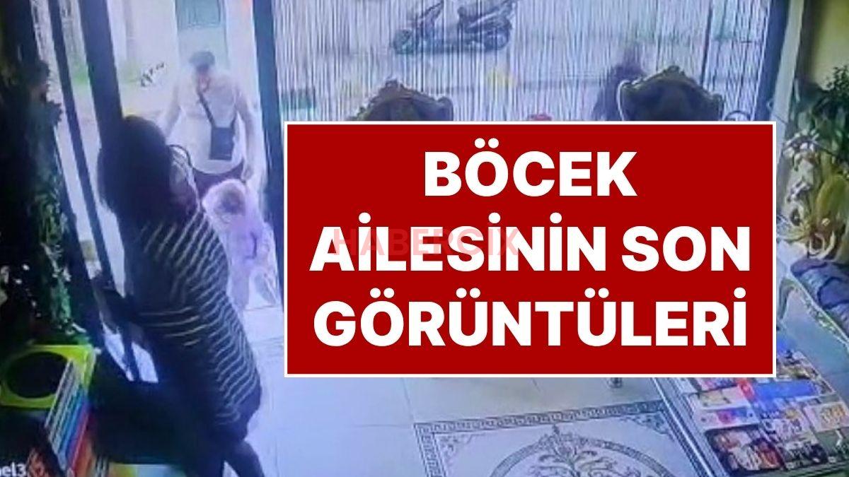 Fatih’te Zehirlenen Böcek Ailesinin Son Görüntüleri Ortaya Çıktı