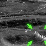 Iğdır’da sahte pasaport operasyonu: 9 düzensiz göçmen yakalandı