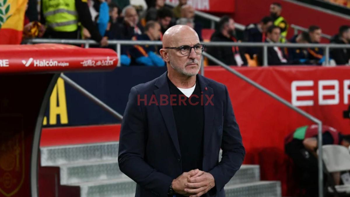 İspanya Teknik Yöneticisi Fuente’nin hakeme yönelik hareketi dikkat çekti