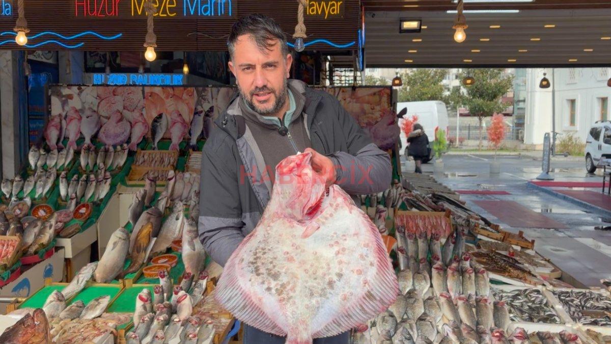 İstanbul’da kalkanın kilosu 1.200 liradan satılıyor