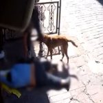 İstanbul’da nöbet geçirip yere yığılan adamın telefonunu çaldılar