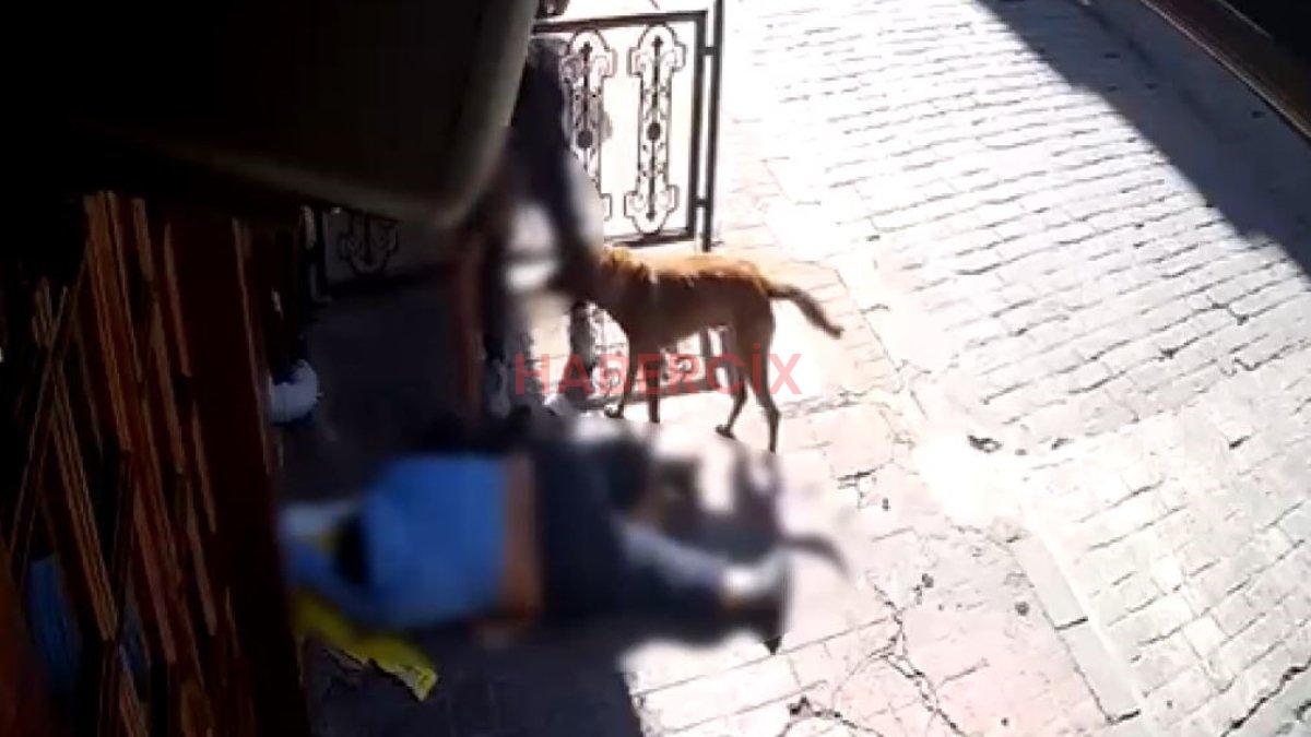 İstanbul’da nöbet geçirip yere yığılan adamın telefonunu çaldılar