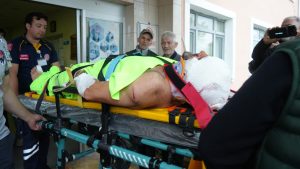 Kastamonu’da mantar toplayan imama ayı saldırdı