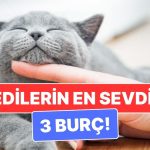 Kedilerin Ruh Eşi Gibi Olan 3 Burç: Aynı Enerjiden Besleniyorlar!