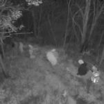 Kırklareli’nde FETÖ operasyonu: 6 kişi yurtdışına kaçarken yakalandı