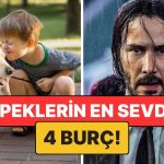 Köpeklerin En Çok Anlaştığı 4 Burç: Ortalarında Görünmez Bir Bağ Var!