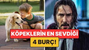 Köpeklerin En Çok Anlaştığı 4 Burç: Ortalarında Görünmez Bir Bağ Var!