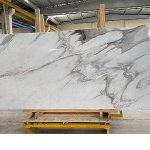 Latin Amerika Açılımında Yeni Adım: Türk Firmaları Meksika Yolunda