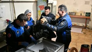 Manisa’da gıda ve hijyen denetimleri