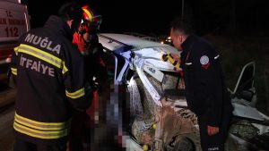 Muğla’da alkollü sürücü, aracını direğe çarptı: 2 yaralı