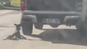 Muğla’da köpeği kamyonete bağlayarak öldüren 2 kişi gözaltına alındı