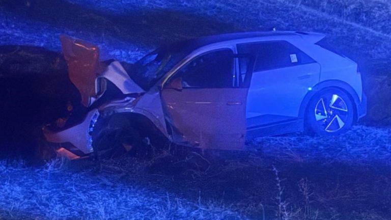 Muş’ta arabanın çarptığı inek telef oldu