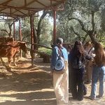 Narlıdere Belediyesi’nden Gönüllülere Teşekkür