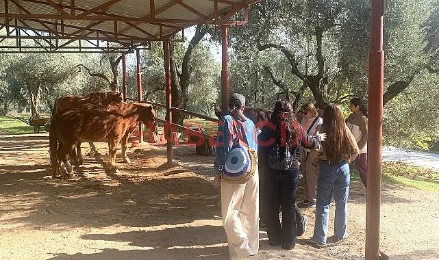 Narlıdere Belediyesi’nden Gönüllülere Teşekkür