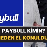 Paybull Kimin, Sahibi Kim? Paybull’a Neden El Konuldu?
