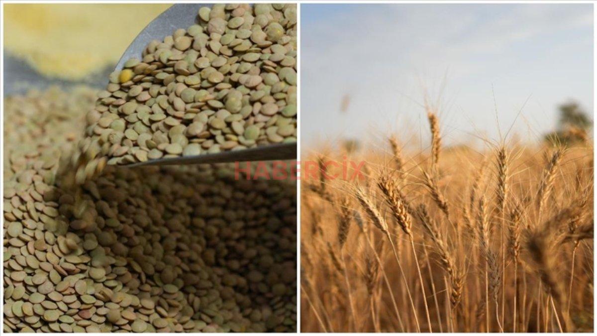 Ramazan’a hazırlık! Yeşil mercimek ve yulaf ithalatında gümrük vergileri düşürüldü