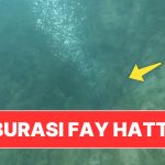 Sapanca Gölü’nde Sular Kaynıyordu: Uzmanlar Kaynağa İnip İnceleme Yaptı