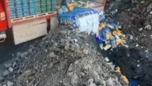 Sarp Hudut Kapısı’nda 6 ton mandalina imha edildi