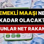 SGK Uzmanı Emeklinin 2026 Maaşı İçin Net Rakam Verdi