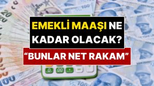 SGK Uzmanı Emeklinin 2026 Maaşı İçin Net Rakam Verdi