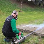 Sinekle mücadele sonbaharda da hız kesmiyor