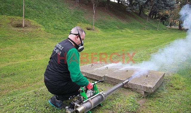 Sinekle mücadele sonbaharda da hız kesmiyor