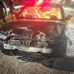 Sinop Belediye Başkanı Gürbüz’ün makam aracı domuz sürüsüne çarptı